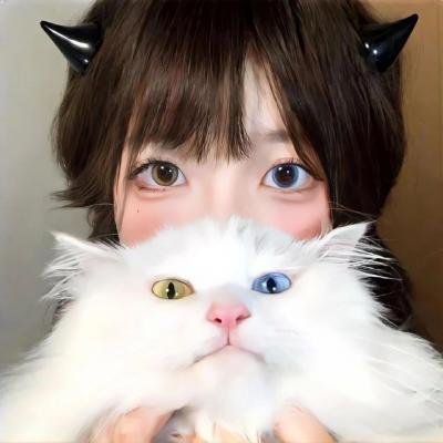 哈利·波特与凤凰社