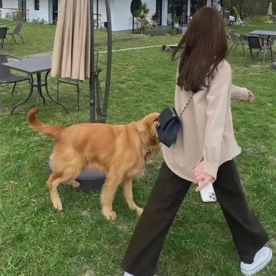 恶搞之家第十一季